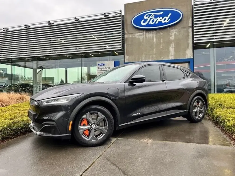 Ford Mustang Mach-E - 0
