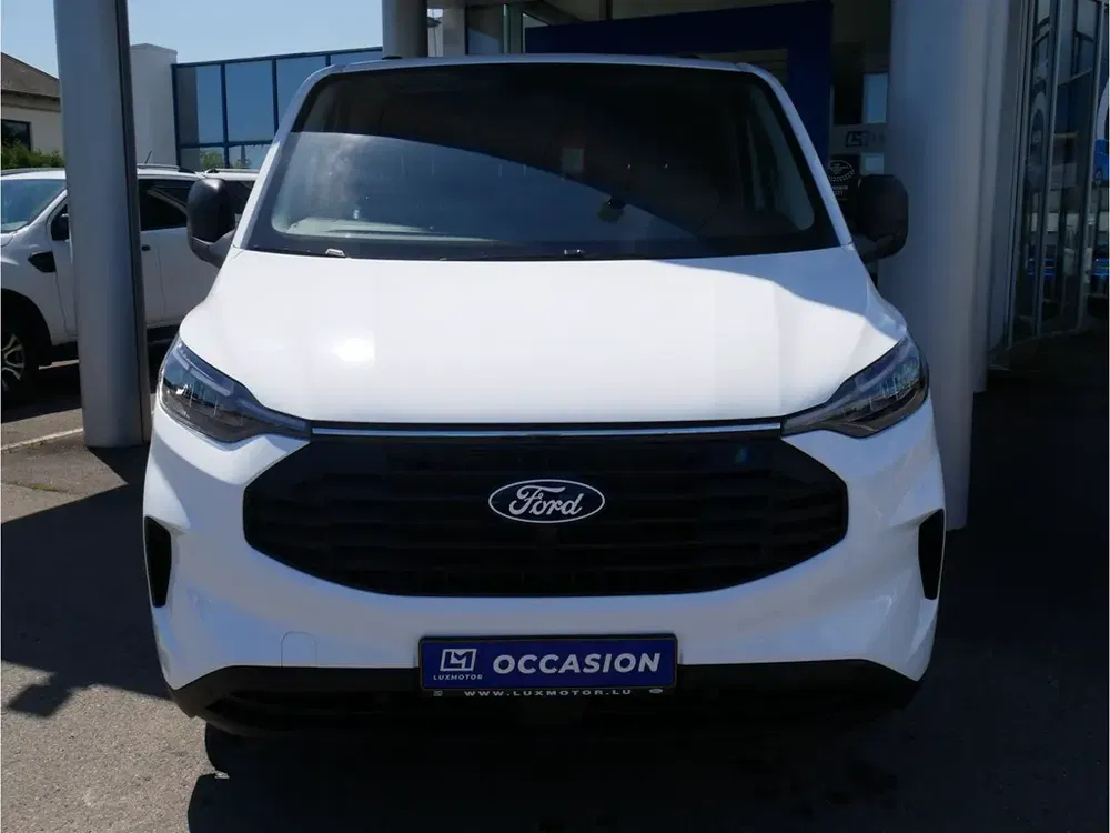 Ford Transit Custom - 0