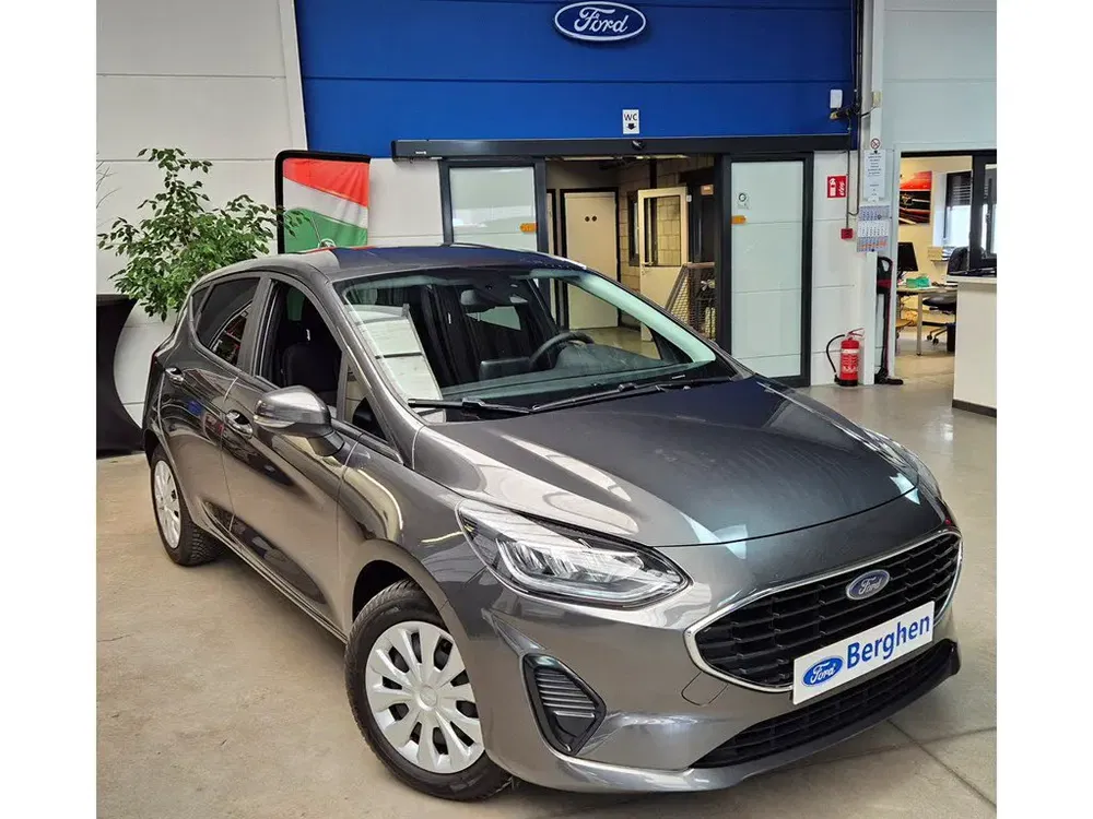 Ford Fiesta - 0