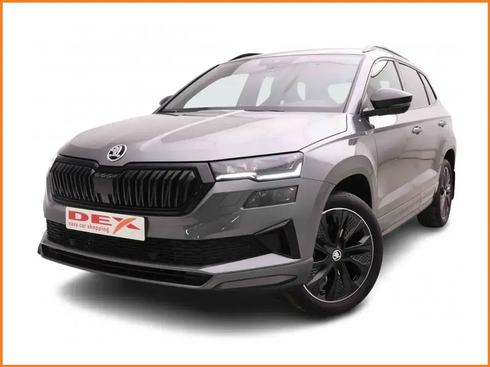 Škoda Karoq - 0