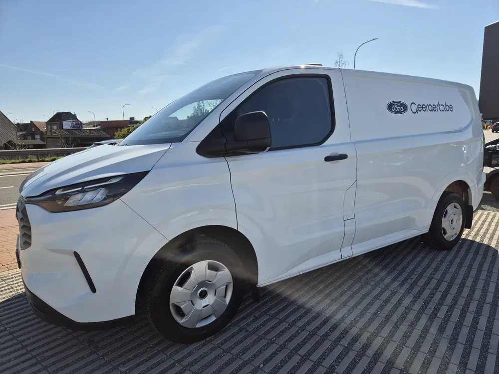 Ford Transit Custom - 0
