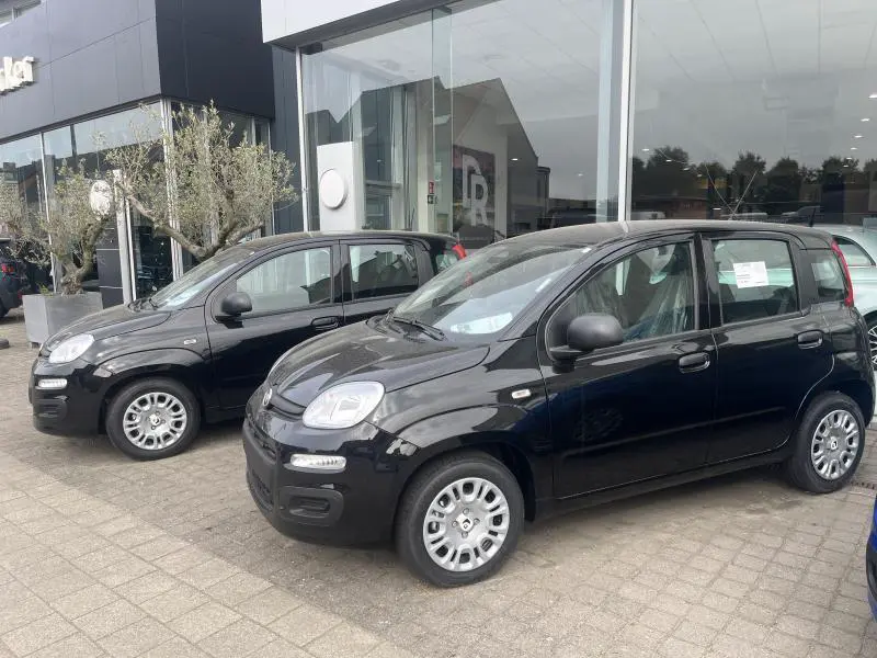 Fiat Panda - 0
