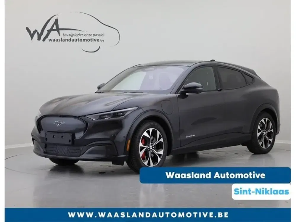 Ford Mustang Mach-E - 0