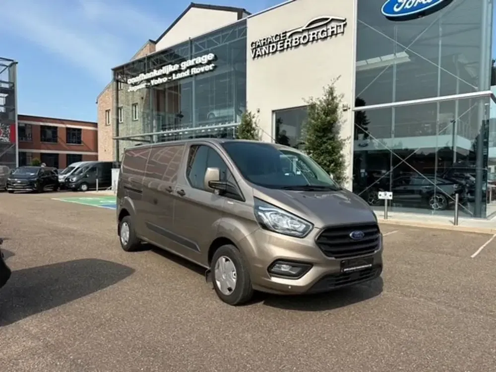 Ford Transit Custom - 0