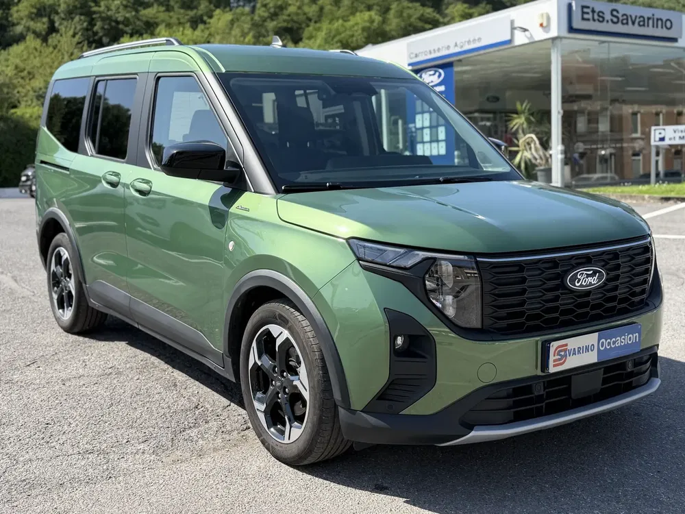 Ford Tourneo - 0