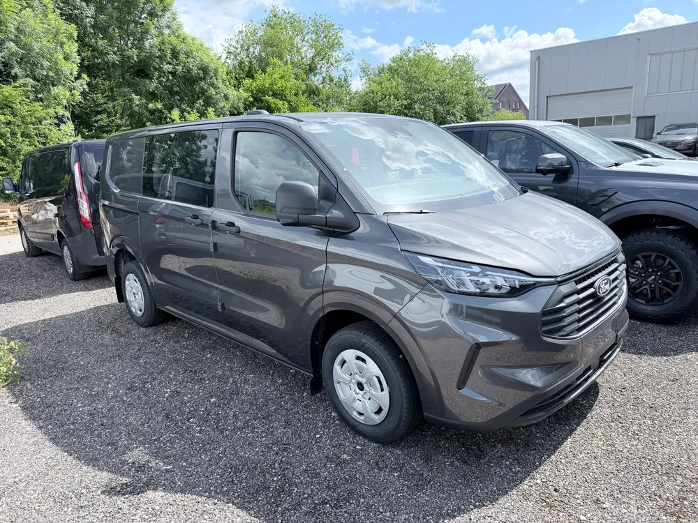 Ford Transit Custom - 0