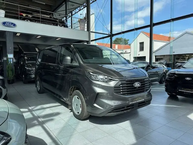 Ford Transit Custom - 0