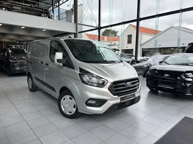 Ford Transit Custom - 0