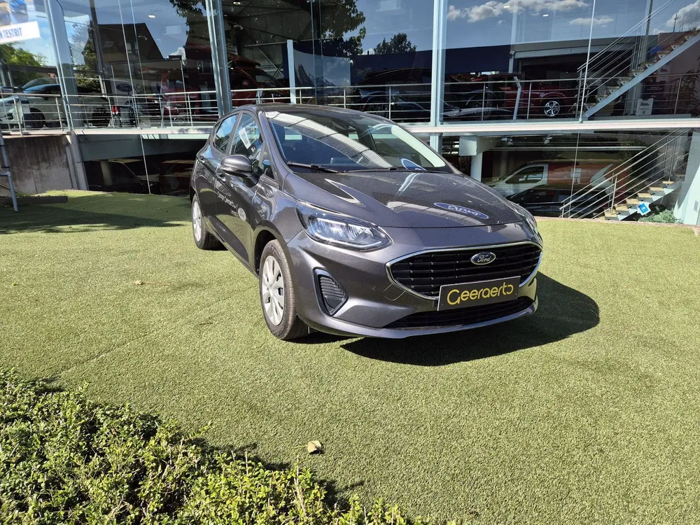 Ford Fiesta - 0