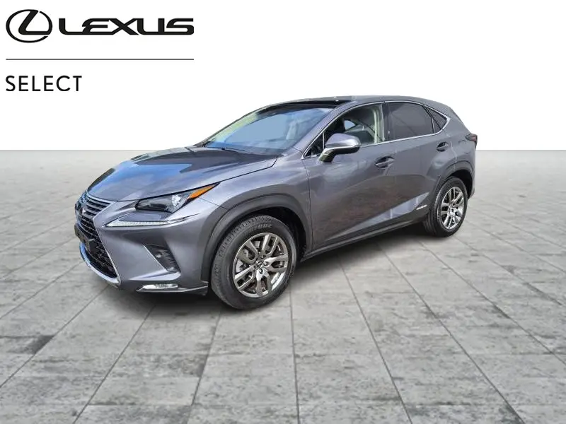Lexus NX 300h - 0