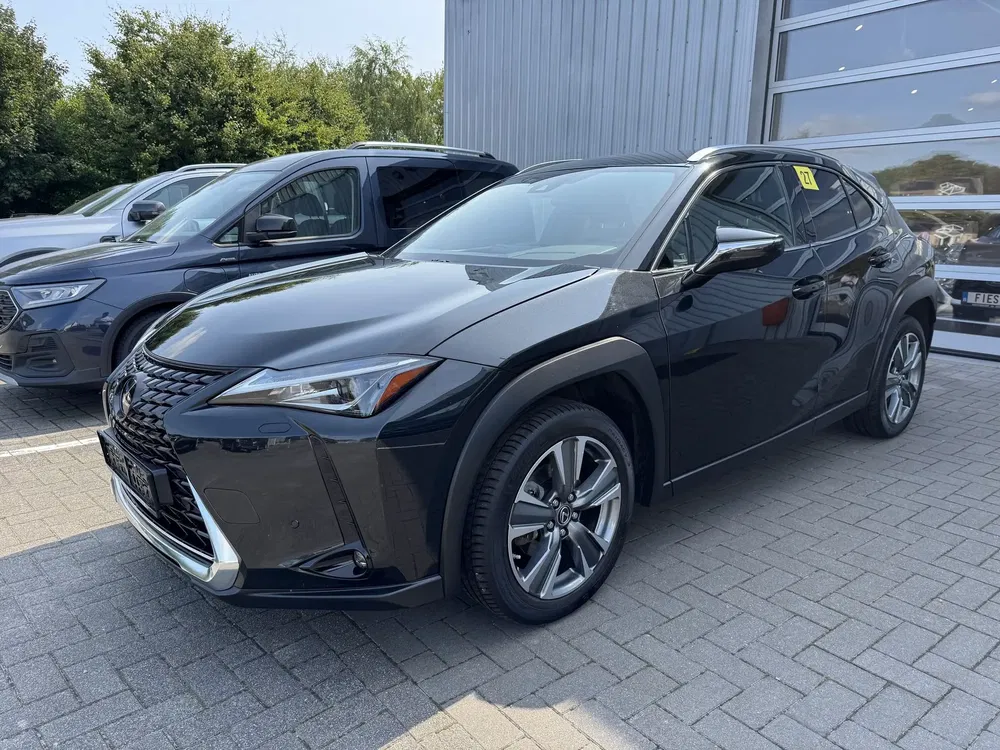 Lexus UX 300e - 0