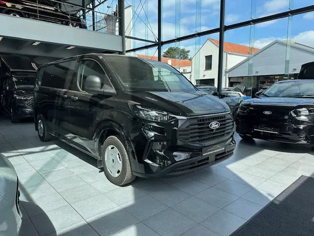 Ford Transit Custom - 0