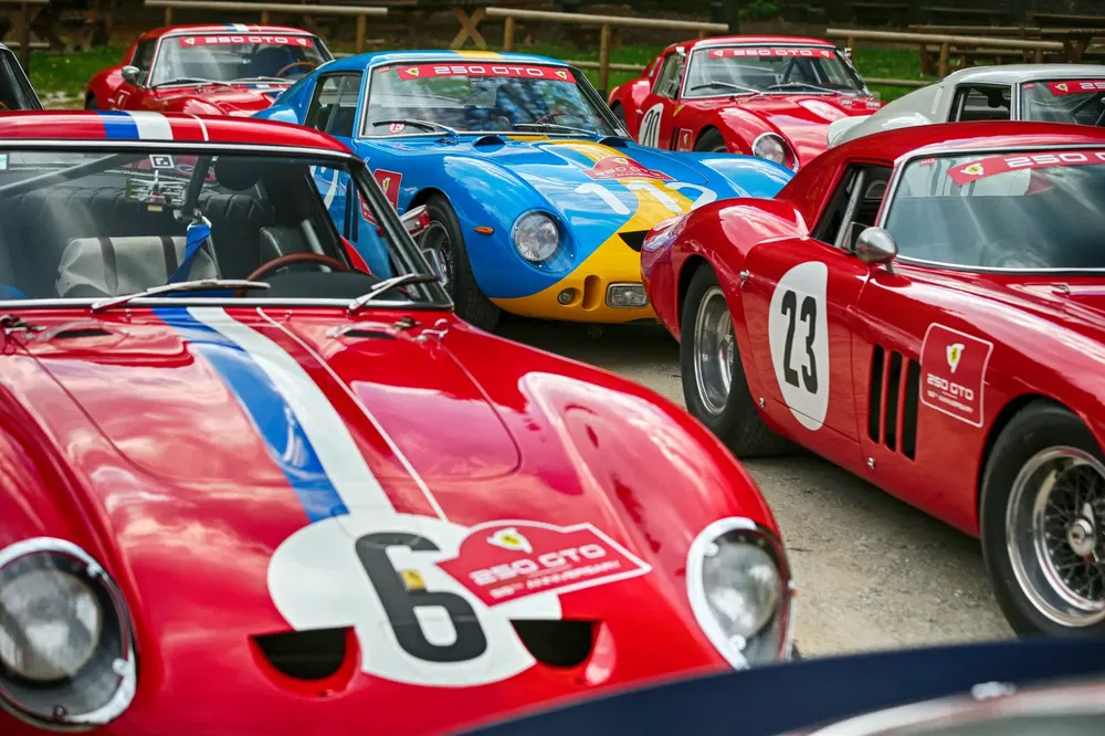 Rassemblement de Ferrari 250 GTO aux couleurs vives et emblématiques, numéros de course visibles.
