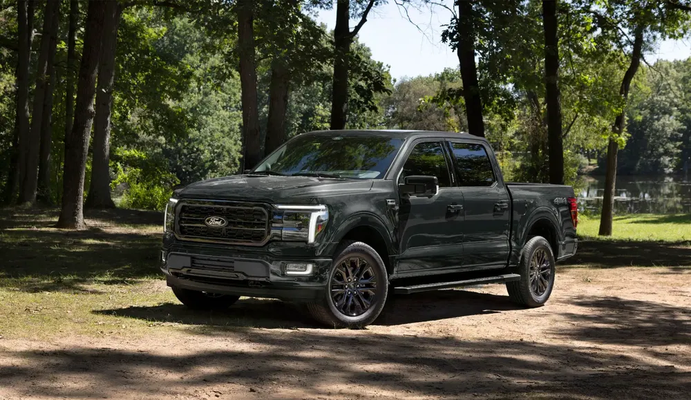 {"fr":"Camionnette Ford F-150 noire stationnée dans une forêt ensoleillée.","nl":"Zwarte Ford F-150 pick-up geparkeerd in een zonnig bos."}