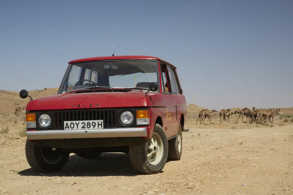 Range Rover Velar rouge dans le désert avec des chameaux en arrière-plan.