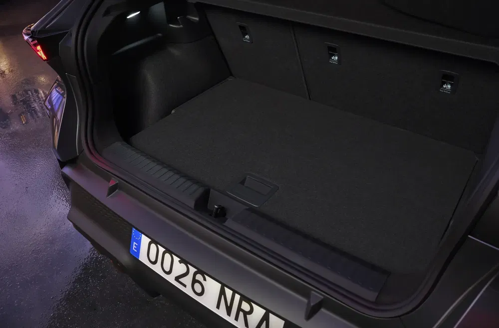 Coffre spacieux d'une voiture avec plaque d'immatriculation, intérieur bien éclairé.