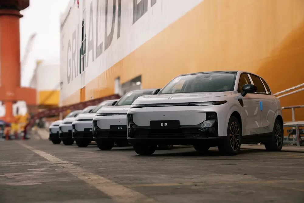 Elektrische SUV's Zeekr B10 in een rij voor een schip, klaar voor verzending.