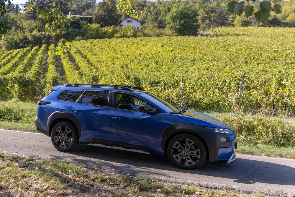 SUV Citroën bleu roulant dans une campagne verdoyante avec des vignobles en arrière-plan.