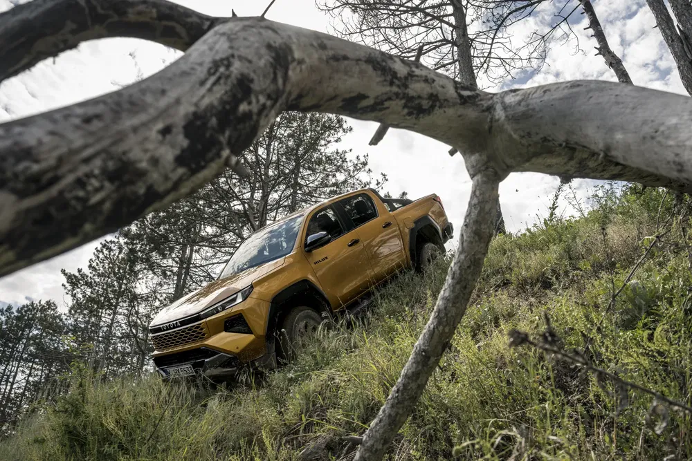 Toyota Hilux jaune sur une pente herbeuse, encadrée par des branches noueuses, ciel dégagé.