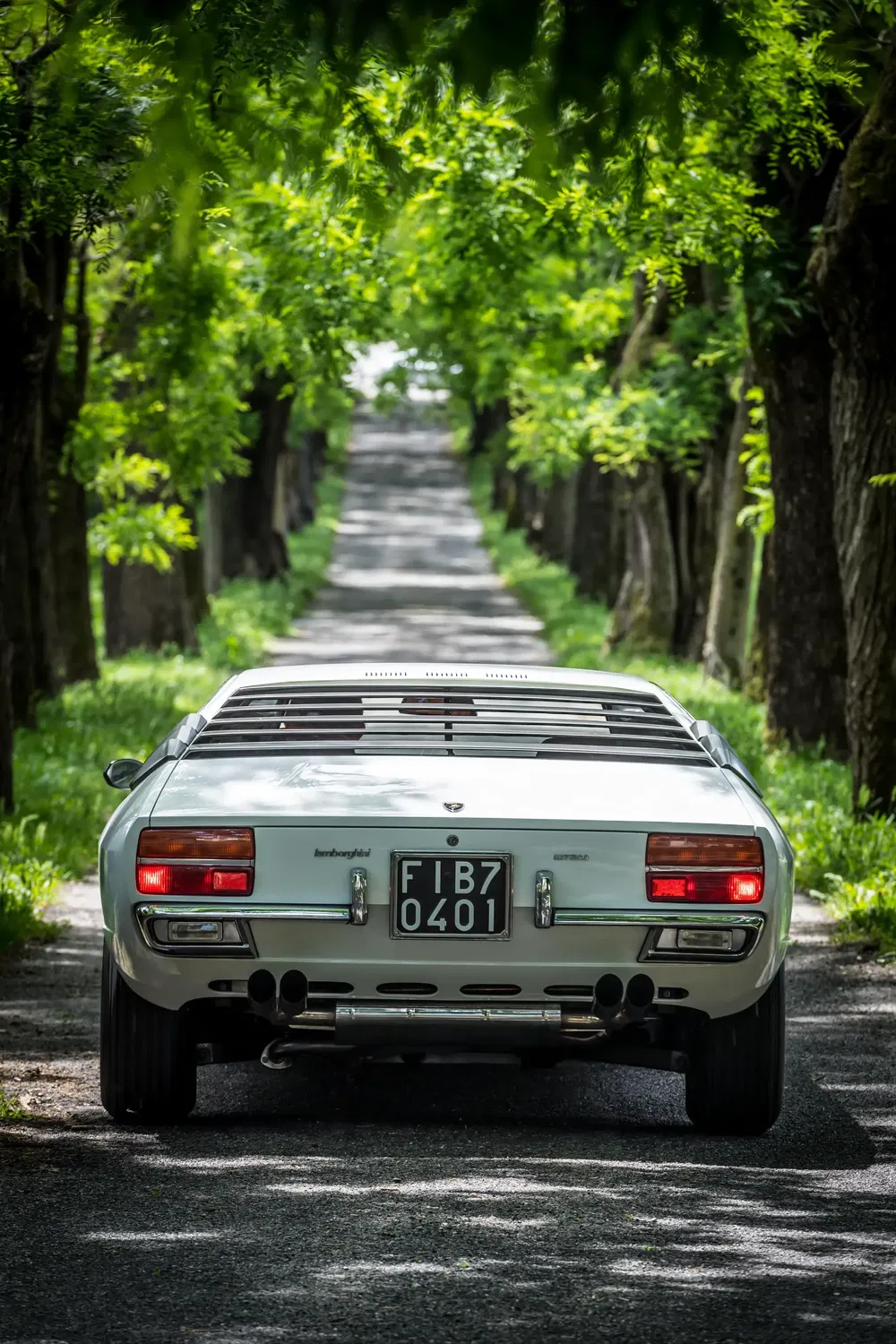 Witte Lamborghini Espada op met bomen omzoomde weg, elegante en klassieke achterkant.