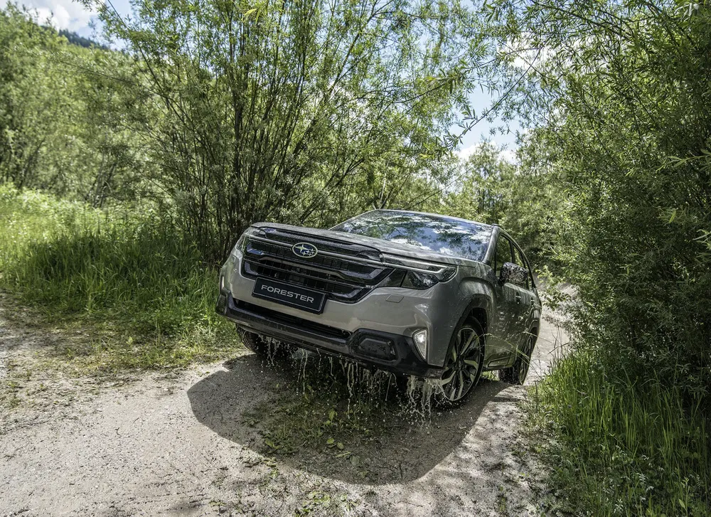 Subaru Forester op zonnig bosweggetje, perfect voor off-road avonturen.