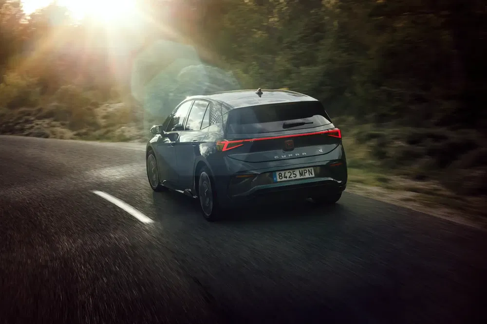 De Cupra Born rijdt op een zonnige weg omringd door groen.