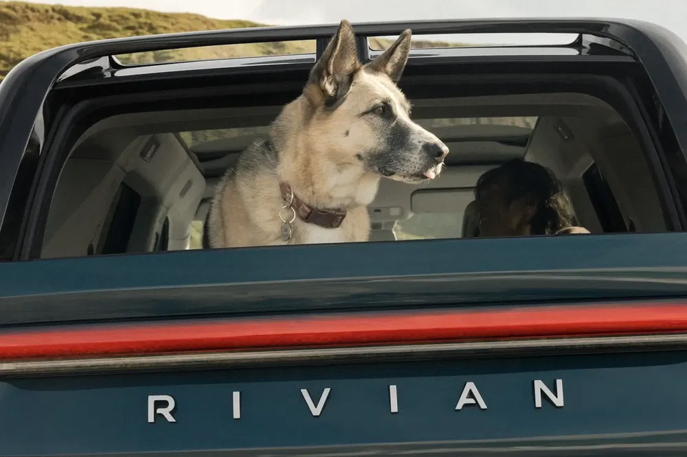 Chien assis à l'arrière d'un Rivian R1T regardant à l'extérieur.