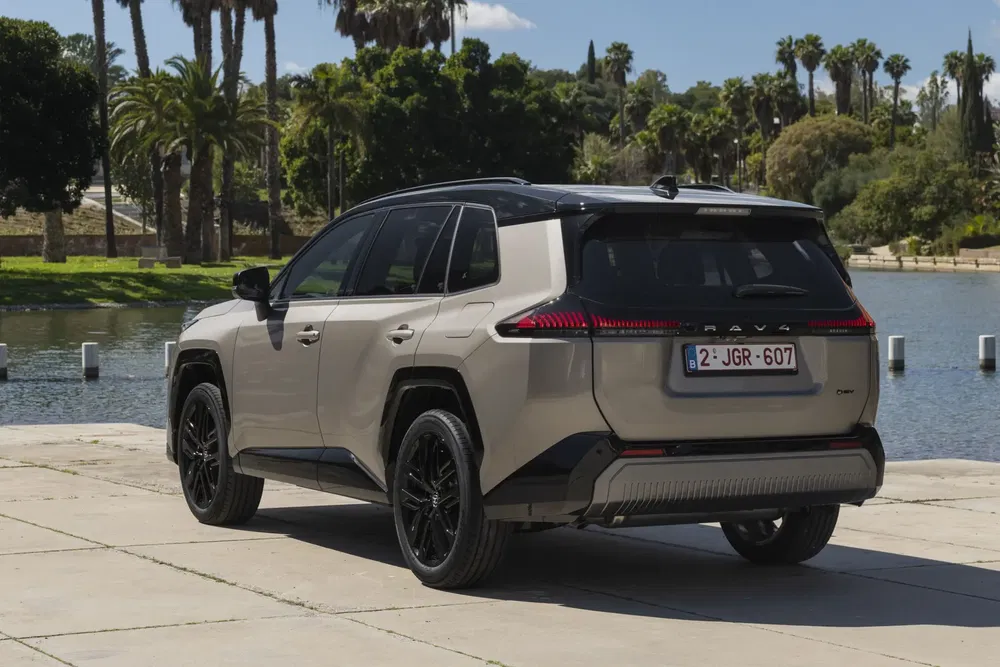 Beige Toyota RAV4 geparkeerd bij een meer, omringd door tropische bomen.